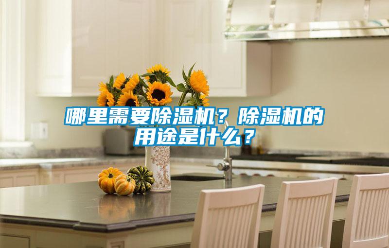 哪里需要除濕機？除濕機的用途是什么？