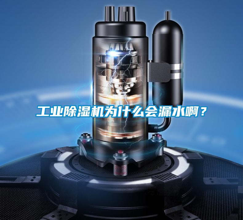 工業(yè)除濕機為什么會(huì )漏水??？