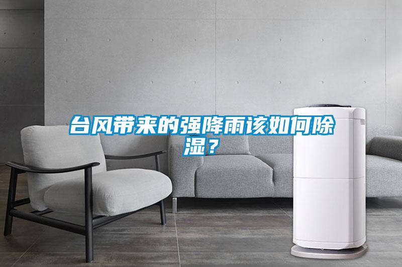臺風(fēng)帶來(lái)的強降雨該如何除濕？