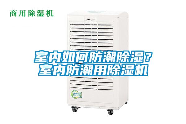 室內如何防潮除濕？室內防潮用除濕機