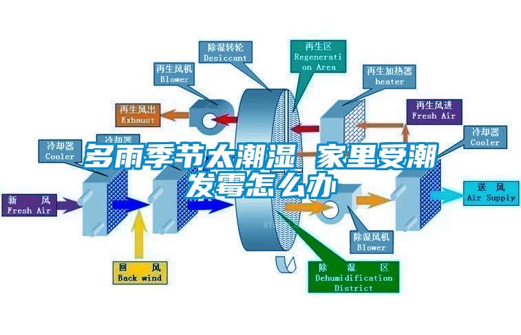 多雨季節太潮濕 家里受潮發霉怎么辦