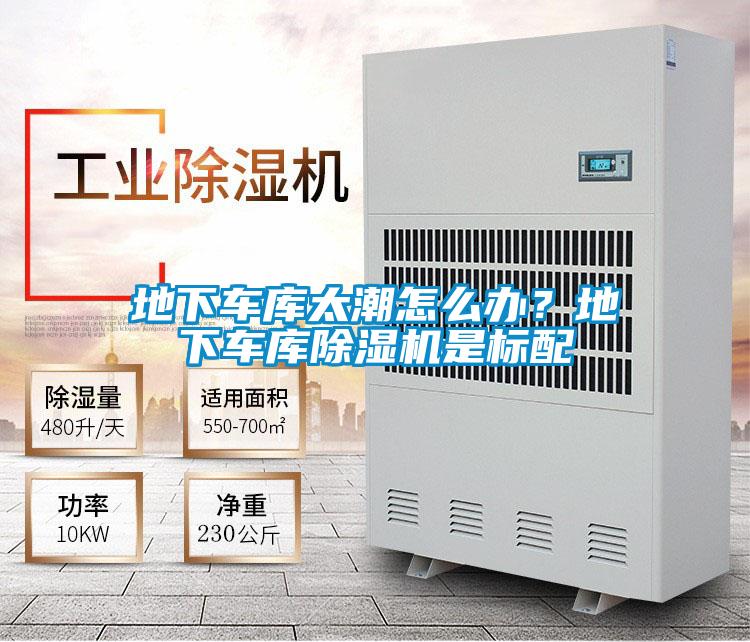 地下車(chē)庫太潮怎么辦？地下車(chē)庫除濕機是標配