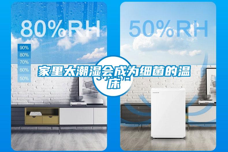 家里太潮濕會(huì )成為細菌的溫床