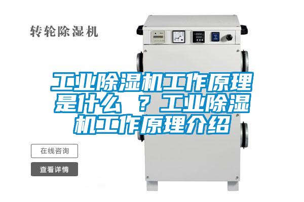 工業(yè)除濕機工作原理是什么 ？工業(yè)除濕機工作原理介紹