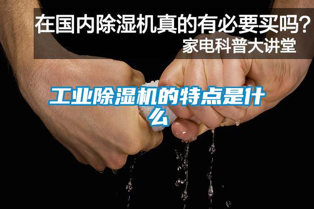 工業(yè)除濕機的特點(diǎn)是什么