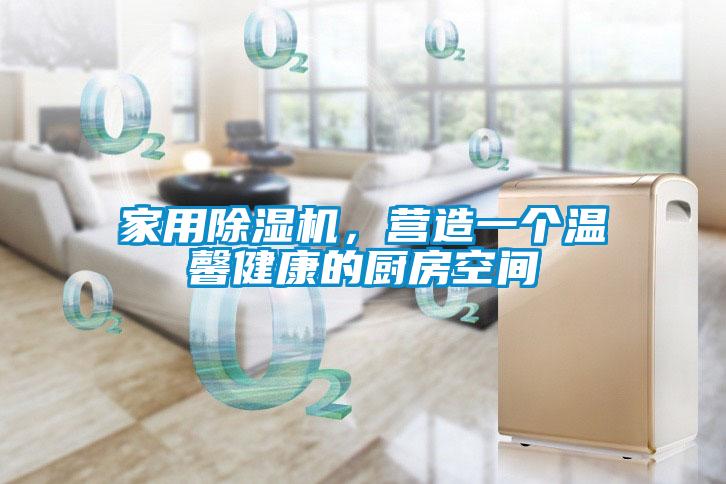 家用除濕機，營(yíng)造一個(gè)溫馨健康的廚房空間