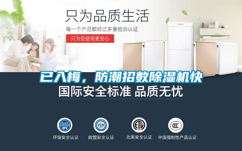 已入梅，防潮招數除濕機快
