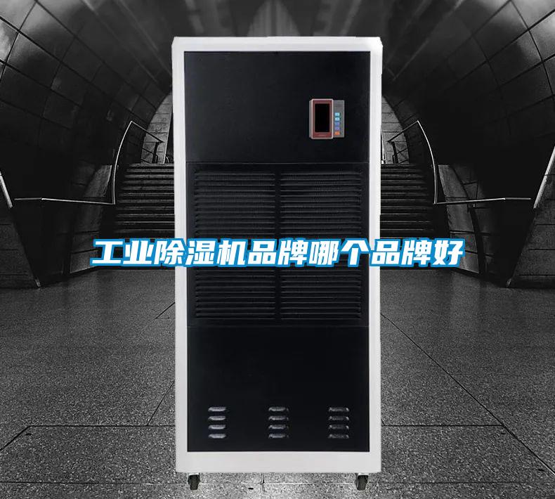 工業(yè)除濕機品牌哪個(gè)品牌好