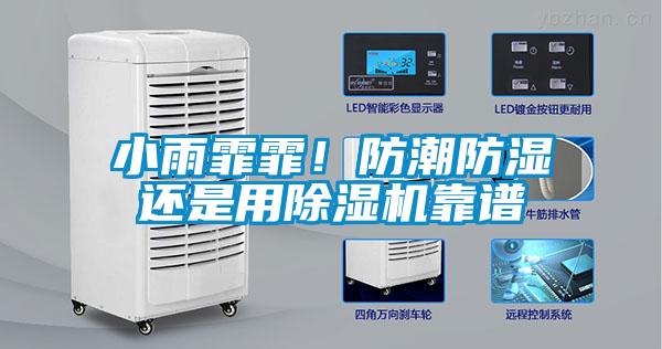 小雨霏霏！防潮防濕還是用除濕機靠譜