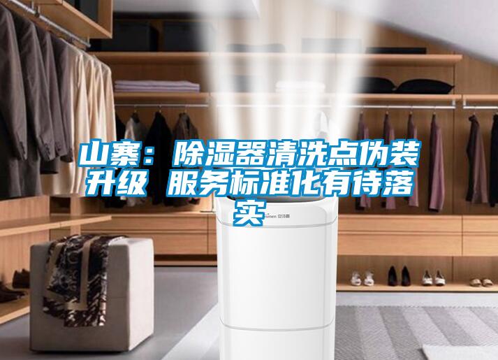 山寨：除濕器清洗點(diǎn)偽裝升級 服務(wù)標準化有待落實(shí)