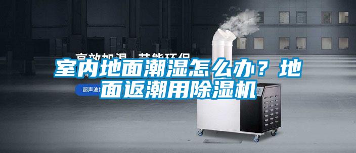 室內地面潮濕怎么辦？地面返潮用除濕機