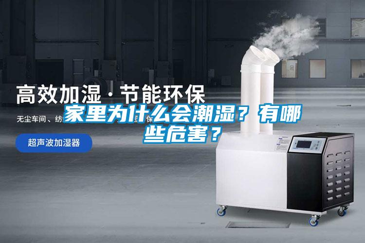家里為什么會(huì )潮濕？有哪些危害？