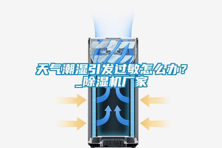 天氣潮濕引發(fā)過(guò)敏怎么辦？_除濕機廠(chǎng)家