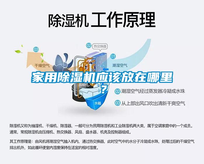 家用除濕機應該放在哪里？
