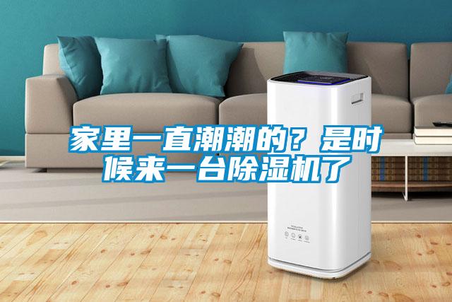 家里一直潮潮的？是時(shí)候來(lái)一臺除濕機了