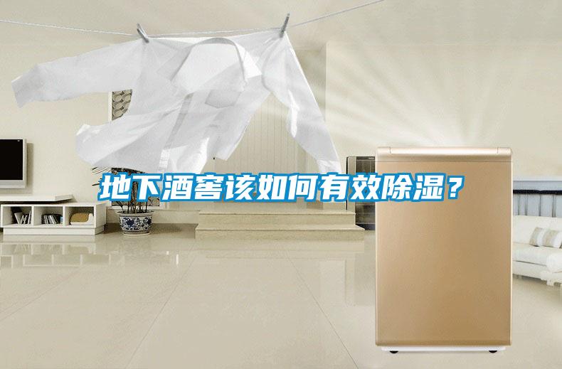 地下酒窖該如何有效除濕？