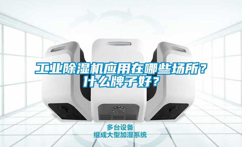 工業(yè)除濕機應用在哪些場(chǎng)所？什么牌子好？