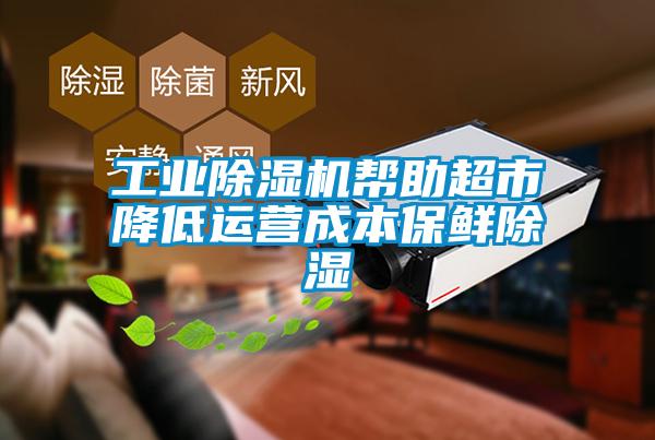 工業(yè)除濕機幫助超市降低運營(yíng)成本保鮮除濕