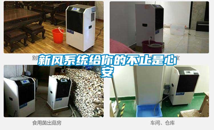 新風(fēng)系統給你的不止是心安