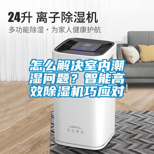 怎么解決室內潮濕問(wèn)題？智能高效除濕機巧應對