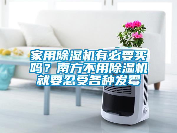 家用除濕機有必要買(mǎi)嗎？南方不用除濕機就要忍受各種發(fā)霉