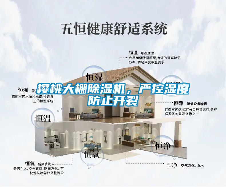 櫻桃大棚除濕機，嚴控濕度防止開(kāi)裂