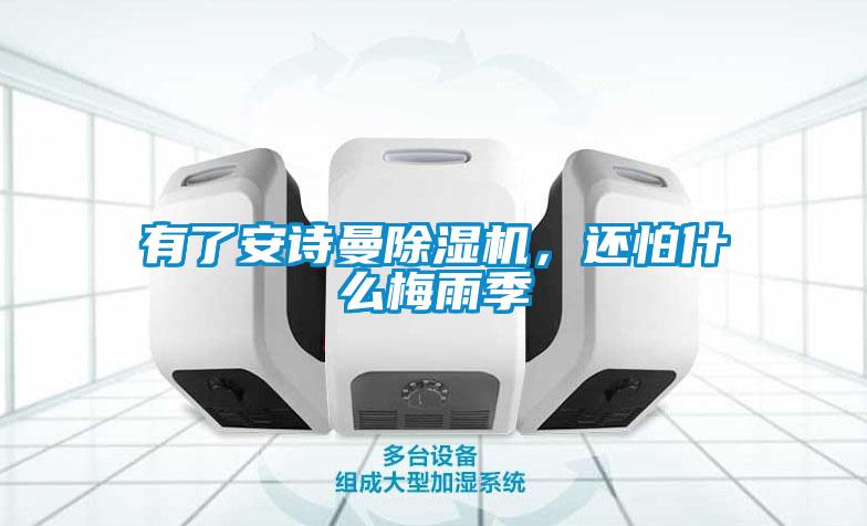 有了安詩(shī)曼除濕機，還怕什么梅雨季