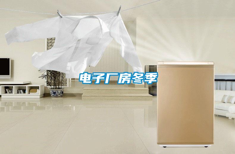 電子廠(chǎng)房冬季