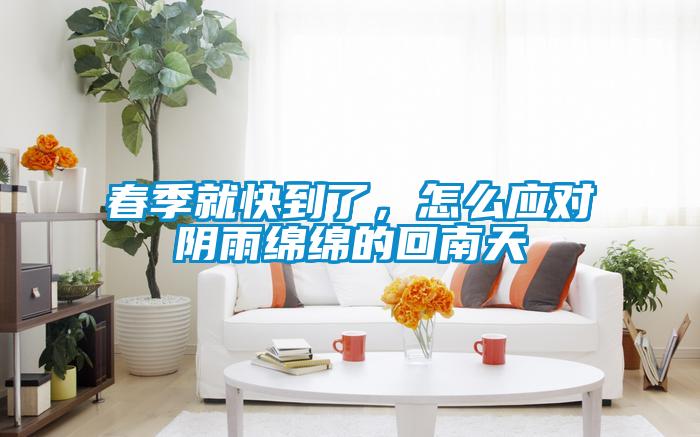 春季就快到了，怎么應對陰雨綿綿的回南天