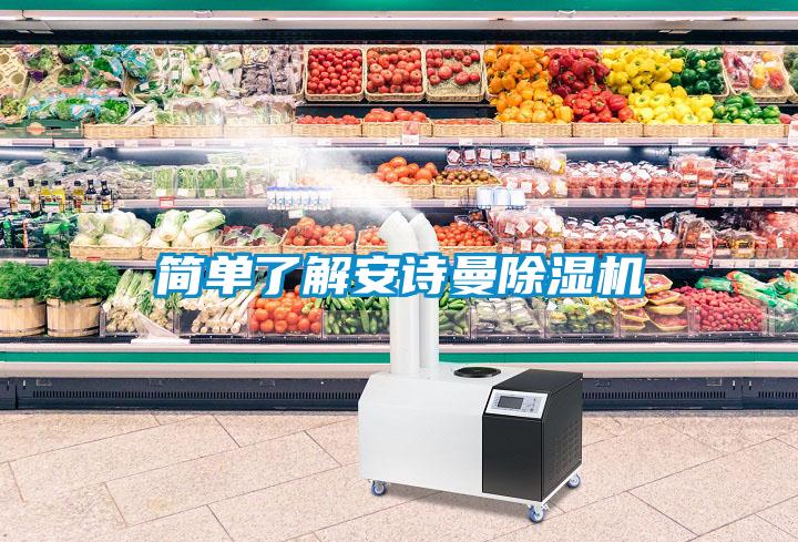 簡(jiǎn)單了解安詩(shī)曼除濕機