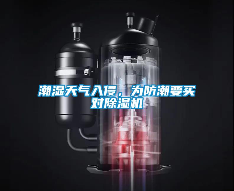 潮濕天氣入侵，為防潮要買(mǎi)對除濕機