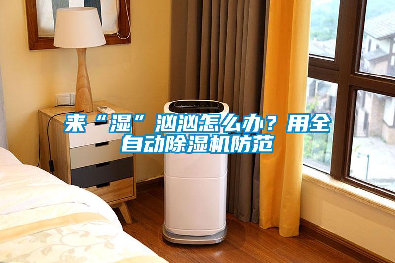 來(lái)“濕”洶洶怎么辦？用全自動(dòng)除濕機防范