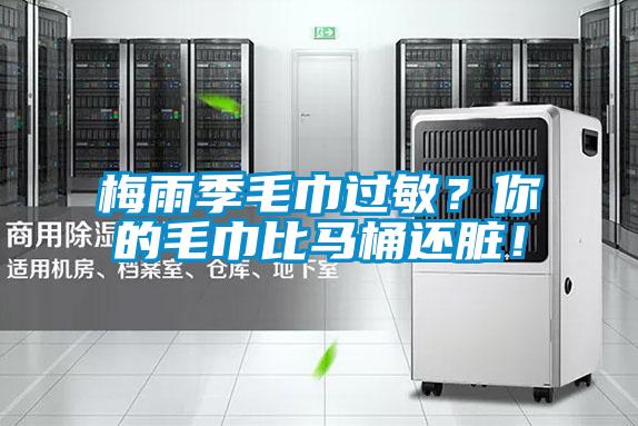 梅雨季毛巾過(guò)敏？你的毛巾比馬桶還臟！