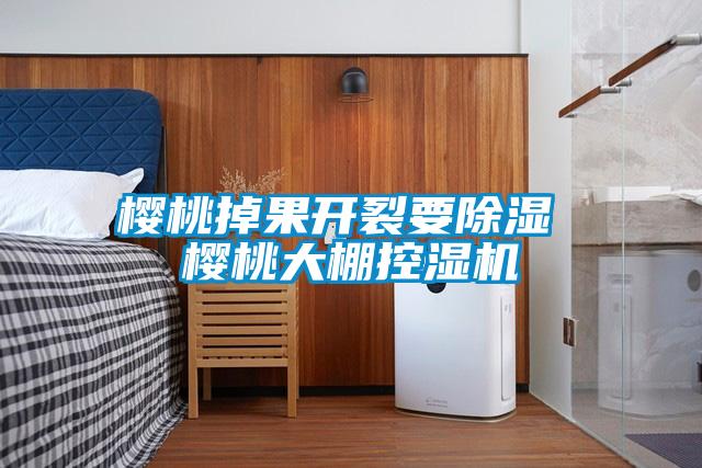 櫻桃掉果開(kāi)裂要除濕 櫻桃大棚控濕機