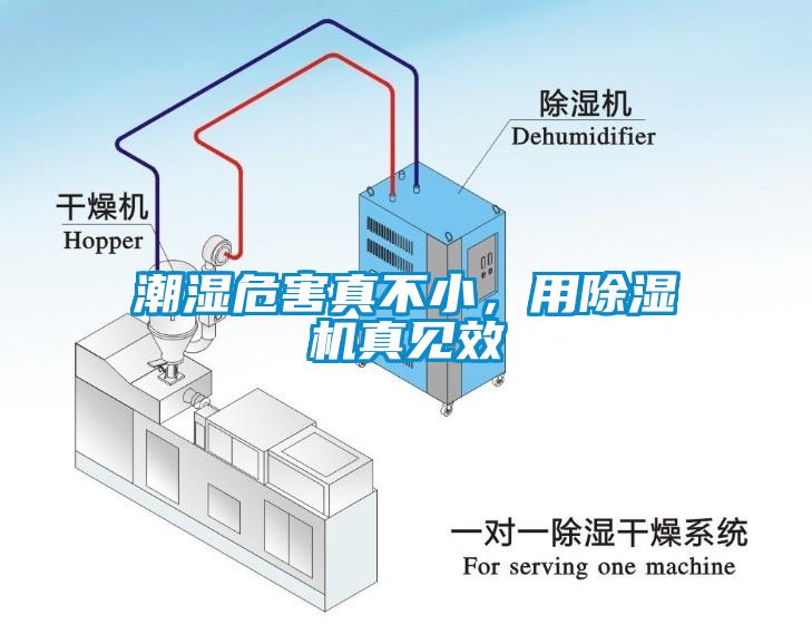 潮濕危害真不小，用除濕機真見效