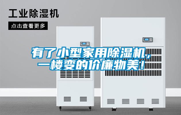 有了小型家用除濕機，一樓變的價(jià)廉物美！
