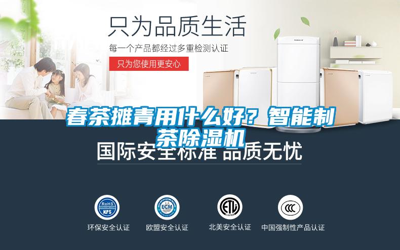 春茶攤青用什么好？智能制茶除濕機