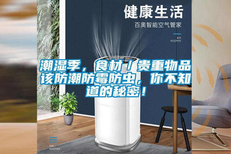 潮濕季，食材／貴重物品該防潮防霉防蟲(chóng)，你不知道的秘密！