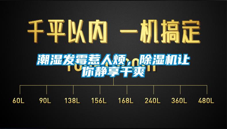 潮濕發(fā)霉惹人煩，除濕機讓你靜享干爽