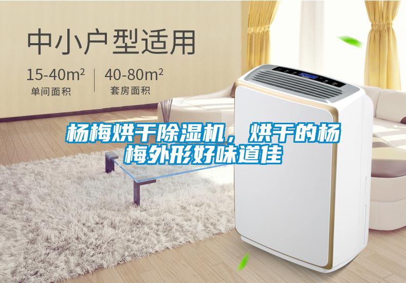 楊梅烘干除濕機，烘干的楊梅外形好味道佳