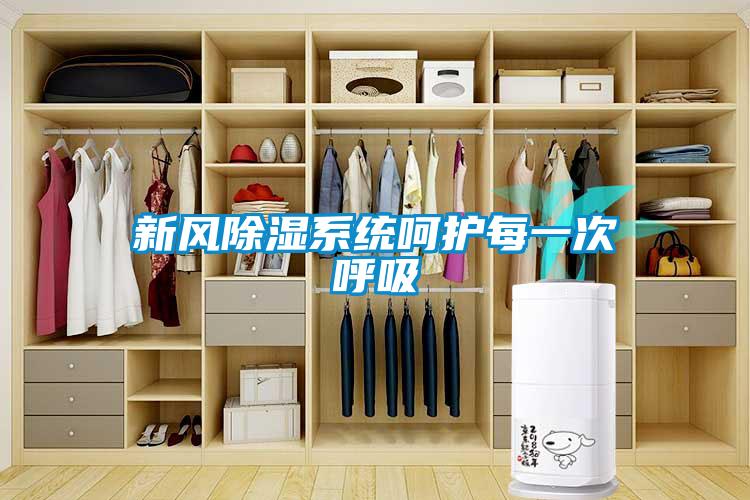 新風(fēng)除濕系統呵護每一次呼吸