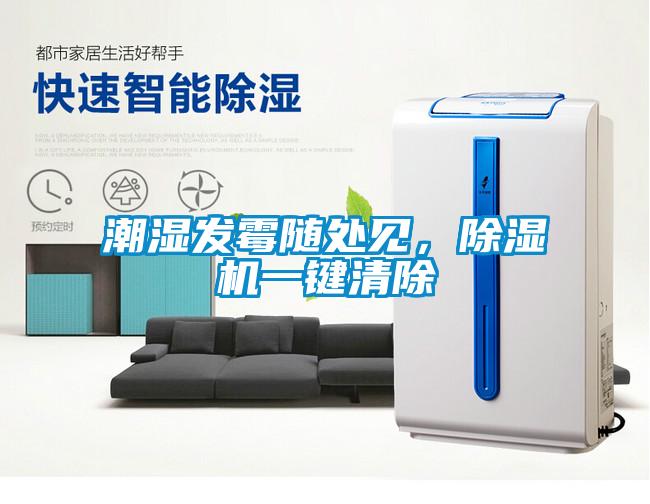 潮濕發(fā)霉隨處見(jiàn)，除濕機一鍵清除