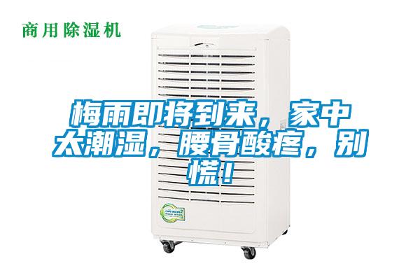梅雨即將到來(lái)，家中太潮濕，腰骨酸疼，別慌！