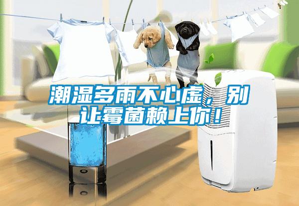 潮濕多雨不心虛，別讓霉菌賴(lài)上你！