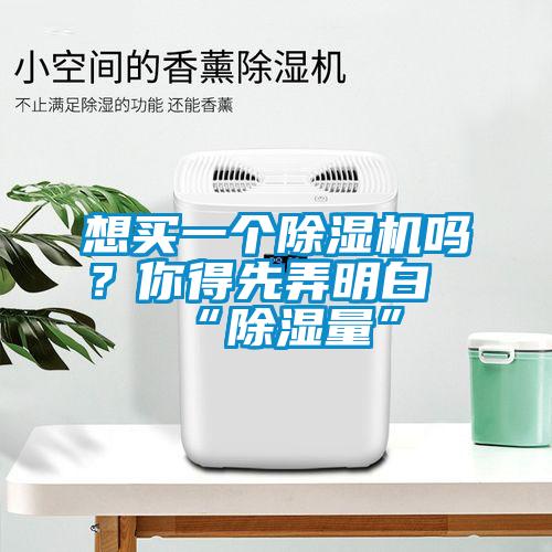 想買(mǎi)一個(gè)除濕機嗎？你得先弄明白“除濕量”