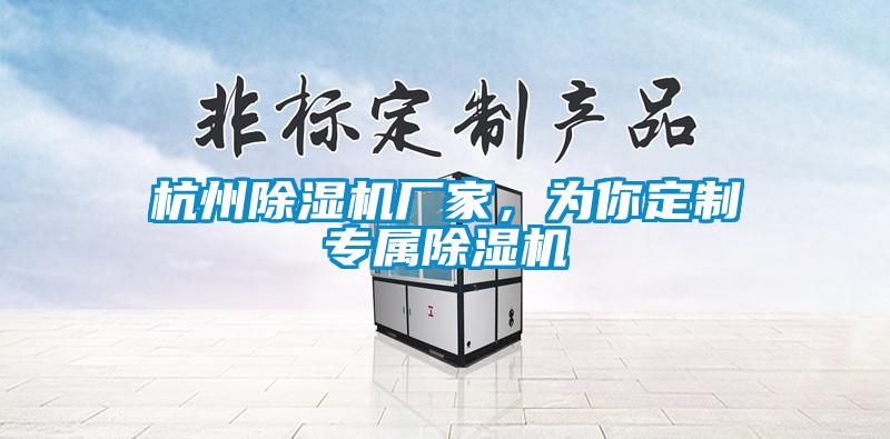 杭州除濕機廠(chǎng)家，為你定制專(zhuān)屬除濕機