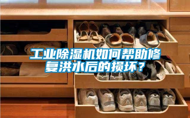工業(yè)除濕機如何幫助修復洪水后的損壞？