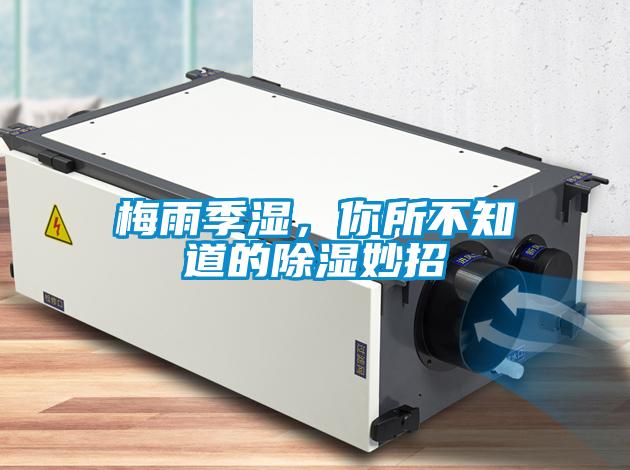 梅雨季濕，你所不知道的除濕妙招