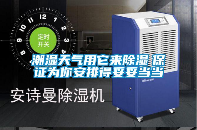 潮濕天氣用它來(lái)除濕　保證為你安排得妥妥當當