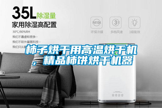 柿子烘干用高溫烘干機，精品柿餅烘干機器